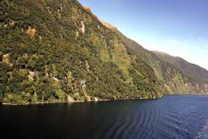 FIORDLAND-NATIONAL-PARK-2019 (250)